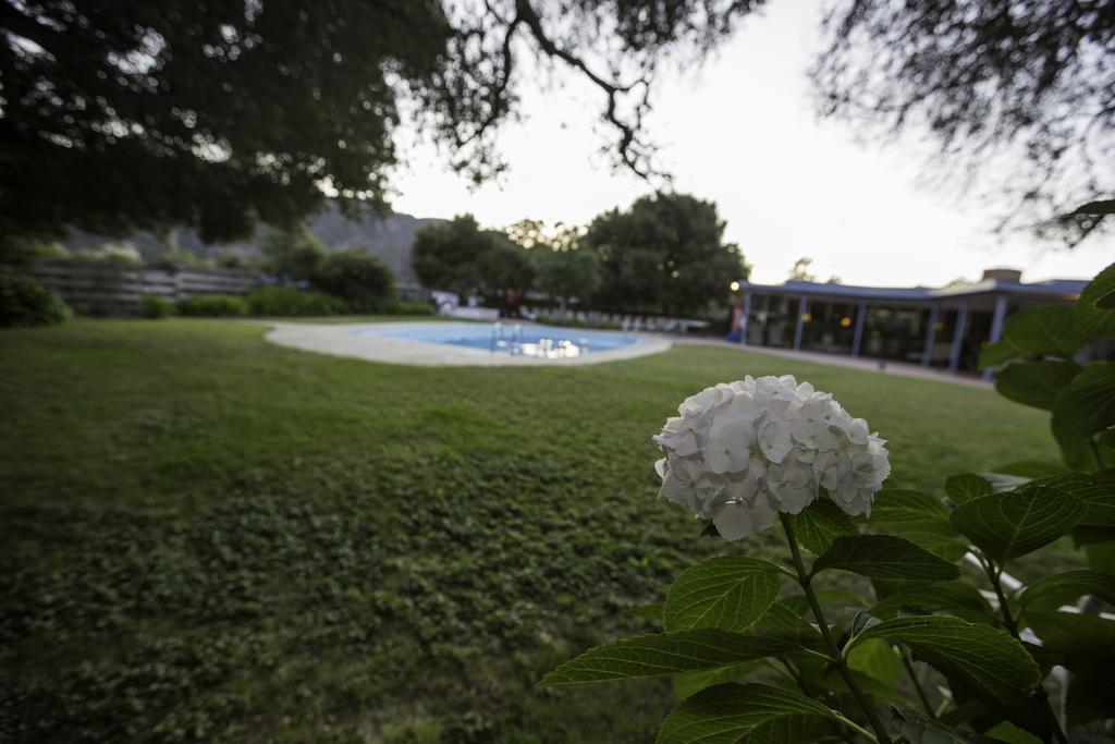The Blue Sky Lodge Carmel Valley Luaran gambar