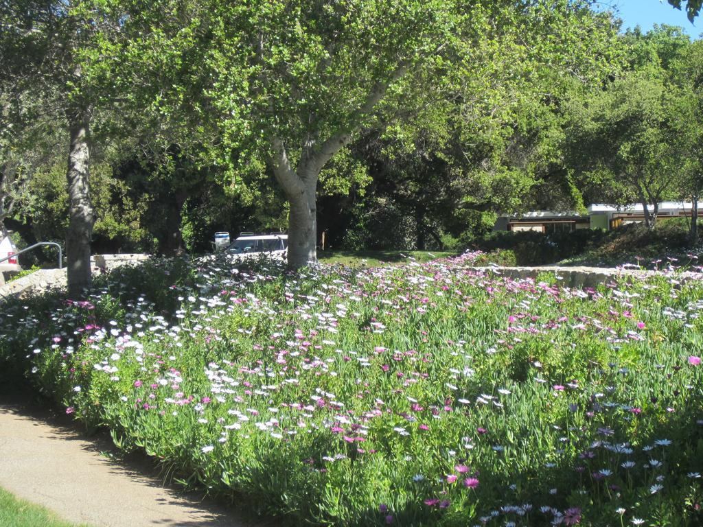 The Blue Sky Lodge Carmel Valley Luaran gambar